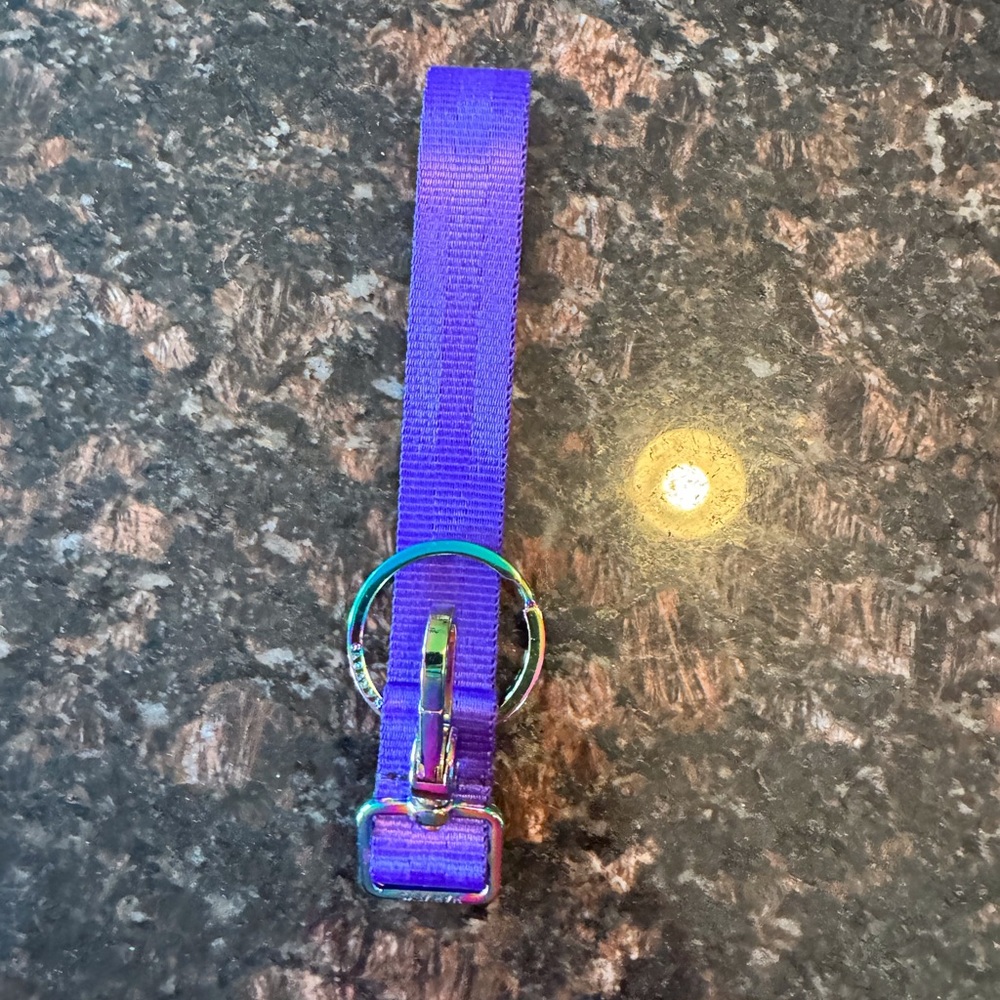 Harvey’s seatbelt keychain